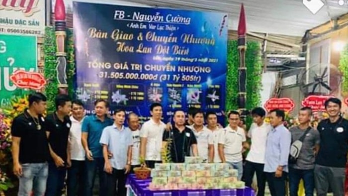 Vụ chuyển nhượng lan 31,5 tỷ đồng chỉ là màn kịch câu like! - 1 Vụ chuyển nhượng lan 31,5 tỷ đồng chỉ là màn kịch câu like! - 1