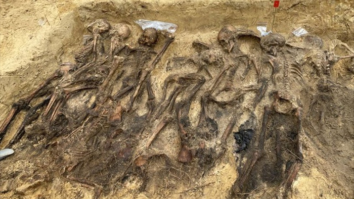 Ngôi mộ tập thể từ thời Đức Quốc xã với hơn 25 bộ xương được phát hiện sâu trong rừng - 1