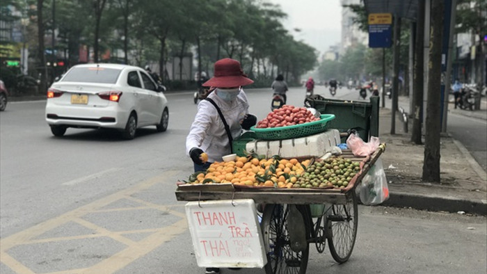 Sốt thanh trà dọc vỉa hè Hà Nội, giá 200.000 đồng/kg - 1