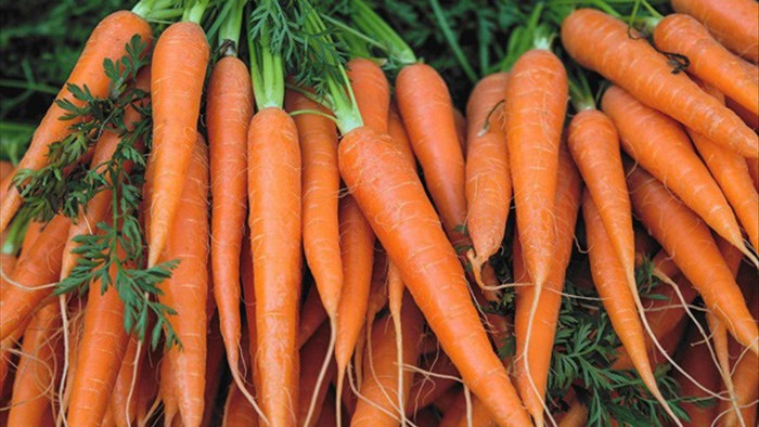 Ăn cà rốt giảm cân, ngừa ung thư nhưng 4 người này nên hạn chế ăn kẻo thiệt thân - 1