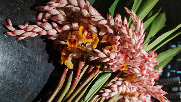 Hoa dại bờ bụi siêu đắt đỏ, mối buôn bán 2.000 cành/ngày