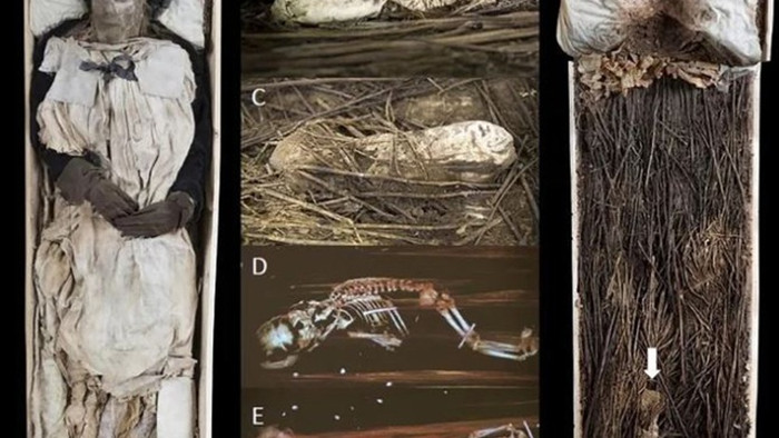 Giải mã xác ướp giám mục được chôn cùng một bào thai cách đây 350 năm - 1