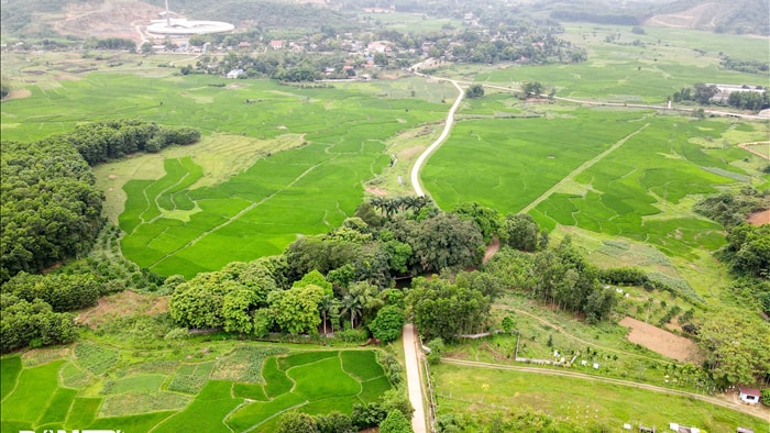 Tận mắt thấy cây ma làng tồn tại hơn 8 thế kỷ ở Hòa Bình - 1 Tận mắt thấy cây ma làng tồn tại hơn 8 thế kỷ ở Hòa Bình - 1