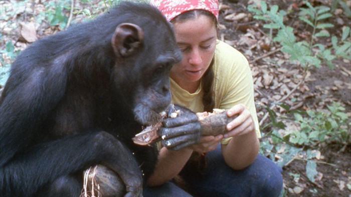 Lạ lùng người phụ nữ vào rừng sống kiểu tinh tinh trong 7 năm - 3