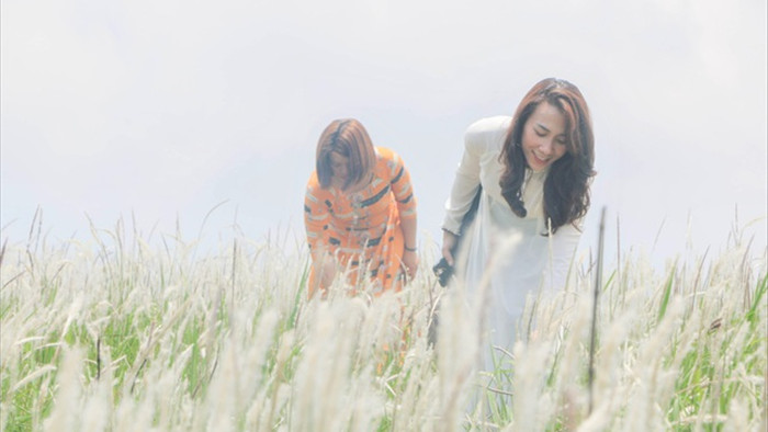 Thiếu nữ HMông khoe sắc xinh đẹp bên đồi cỏ tranh trắng muốt Đắk Nông - 11