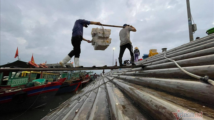 Chợ cá không ngủ nhộn nhịp nhất Hạ Long