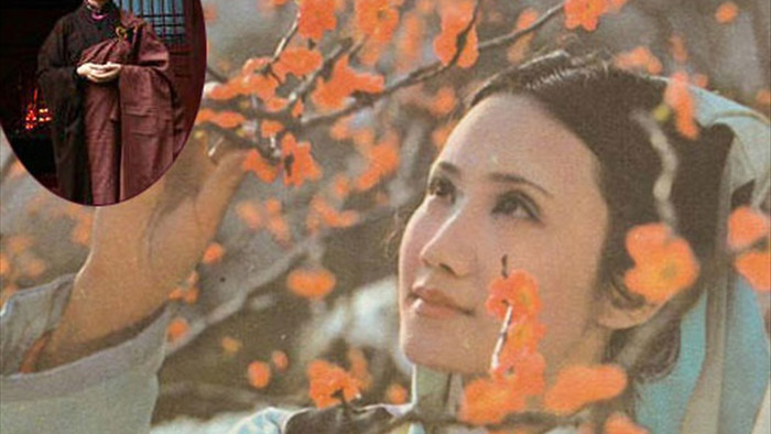 Cuộc đời thăng trầm của dàn diễn viên Hồng Lâu Mộng sau 34 năm - 15