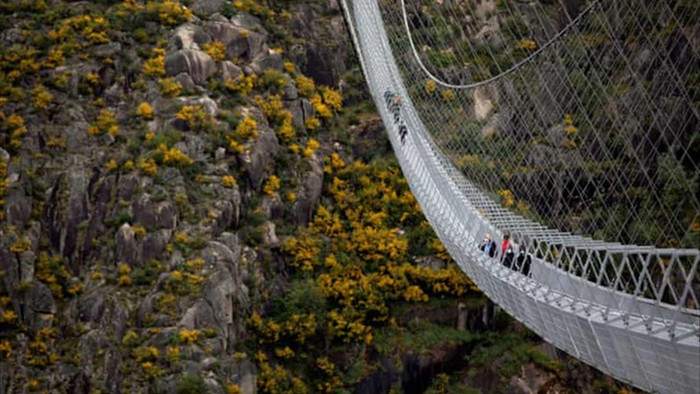 Mở cửa cầu treo đi bộ dài nhất thế giới - 1