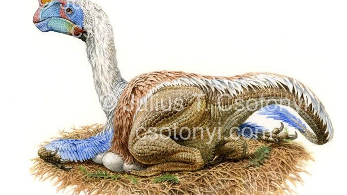 Phát hiện loài động vật hai ngón chuyên ăn cắp trứng khủng long - Ảnh 3.