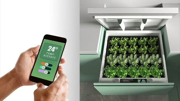 Khó tin vườn rau vô hình trong quầy bếp, dùng smartphone điều khiển từ xa - 2