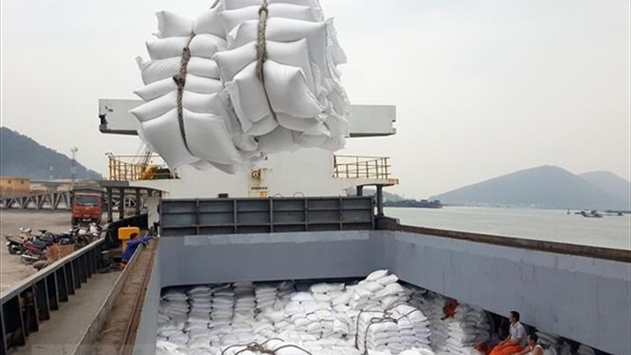 Bộ Nông nghiệp Mỹ: Việt Nam sẽ tiếp tục đứng thứ 2 về xuất khẩu gạo - 1