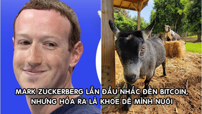 Mark Zuckerberg khoe ảnh nuôi dê, đặt tên là Bitcoin: Hút hơn 400.000 lượt thích sau hơn 3 giờ đăng tải - Ảnh 1.