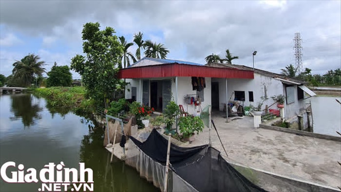 Vụ 3 cán bộ công an quận Đồ Sơn bị bắt: Tố cáo không phải vì “đấu đá” ai - Ảnh 1. Vụ 3 cán bộ công an quận Đồ Sơn bị bắt: Tố cáo không phải vì “đấu đá” ai - Ảnh 1.