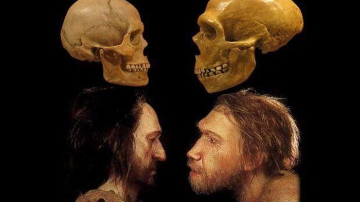 Nếu người Neanderthal không bị tuyệt chủng, thế giới sẽ ra sao? - Ảnh 1.