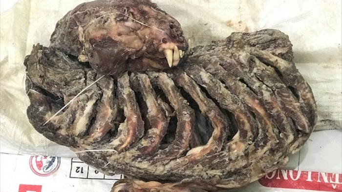 Bắt vụ đánh bạc, phát hiện chủ lò nấu cao chúa sơn lâm - 2 Bắt vụ đánh bạc, phát hiện chủ lò nấu cao chúa sơn lâm - 2