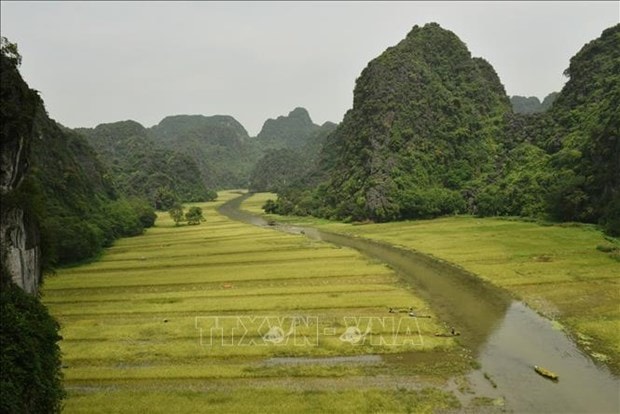 Ninh Binh: Dac sac mua gat o Tam Coc hinh anh 6