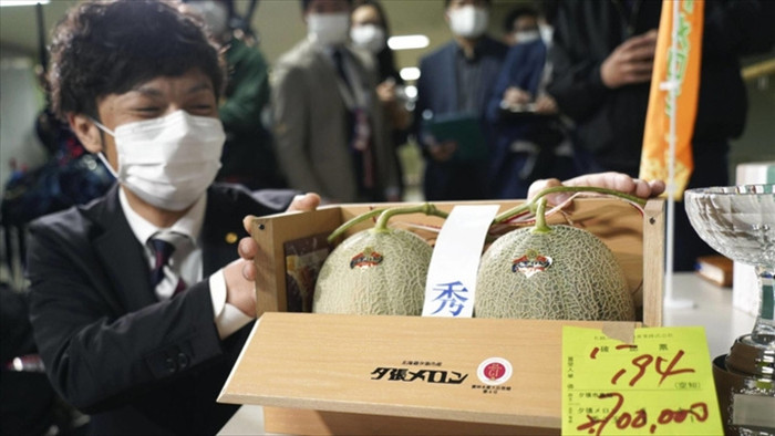 Nhật Bản: Cặp dưa lưới Yubari được đấu giá gần nửa tỉ đồng - 1