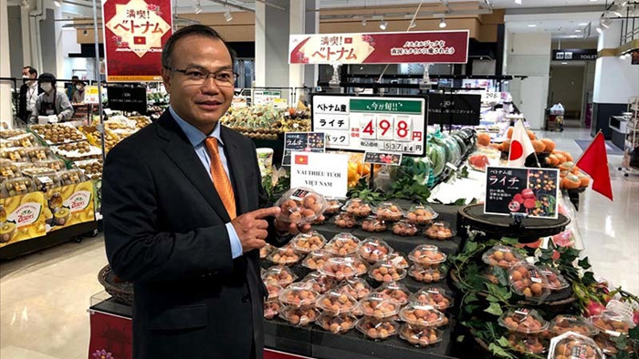 Bay thẳng qua Nhật, vải thiều Việt Nam lên kệ siêu thị 500 nghìn/kg