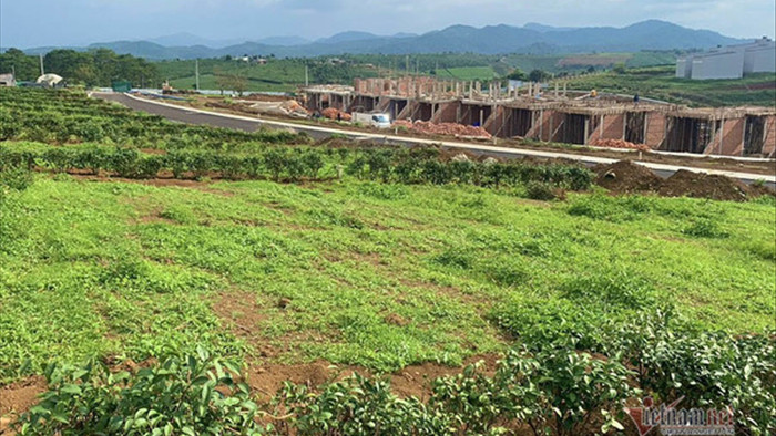 Loạn đất phân lô ‘gắn mác’ dự án, Lâm Đồng dừng giải quyết hồ sơ tách thửa
