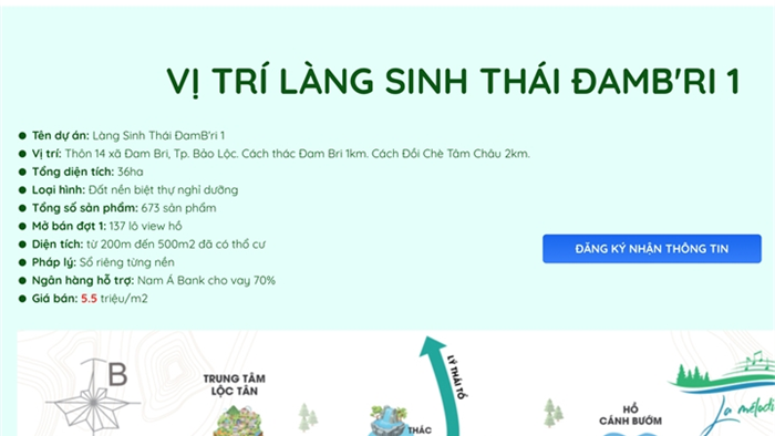 Xẻ đồi thành 1.000 đất nền để bán: Nhiều chỉ đạo quyết liệt ở Lâm Đồng - 3