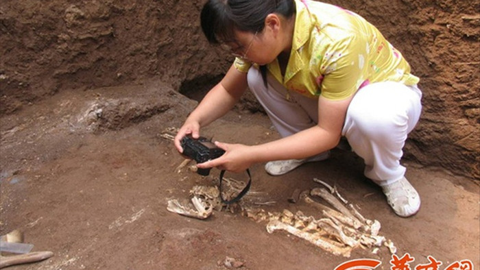 Giống loài chưa từng được biết đến trong lăng mộ bà nội Tần Thủy Hoàng - 1
