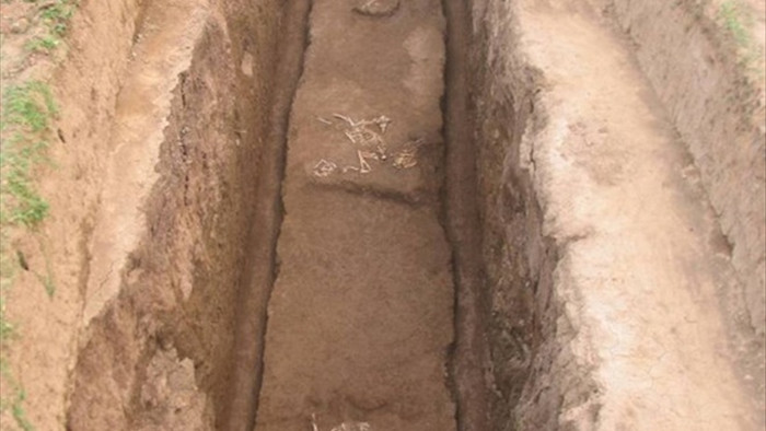 Giống loài chưa từng được biết đến trong lăng mộ bà nội Tần Thủy Hoàng - 2