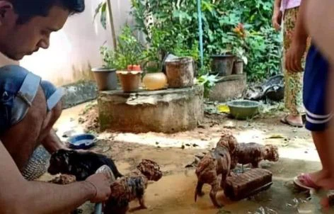 Dọn mương nước vô tình nhặt được vài cục bùn, người đàn ông đem về rửa sạch rồi vui mừng hết sức khi chúng hiện nguyên hình - Ảnh 2. Dọn mương nước vô tình nhặt được vài cục bùn, người đàn ông đem về rửa sạch rồi vui mừng hết sức khi chúng hiện nguyên hình-1