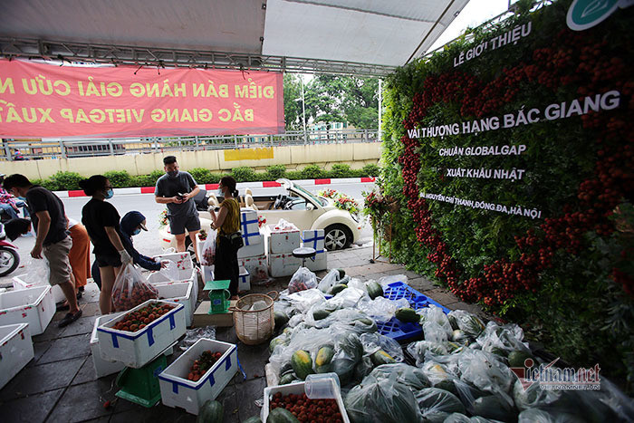 Xe hoa kết bằng 30kg vải thiều trên phố Hà Nội thu hút mọi ánh nhìn-3