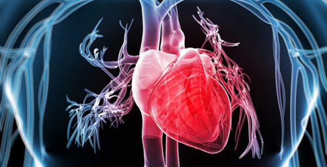 GS Trương Quang Bình cảnh báo: Tần số tim cao sẽ có nguy cơ tử vong do các biến cố tim mạch - Ảnh 1.