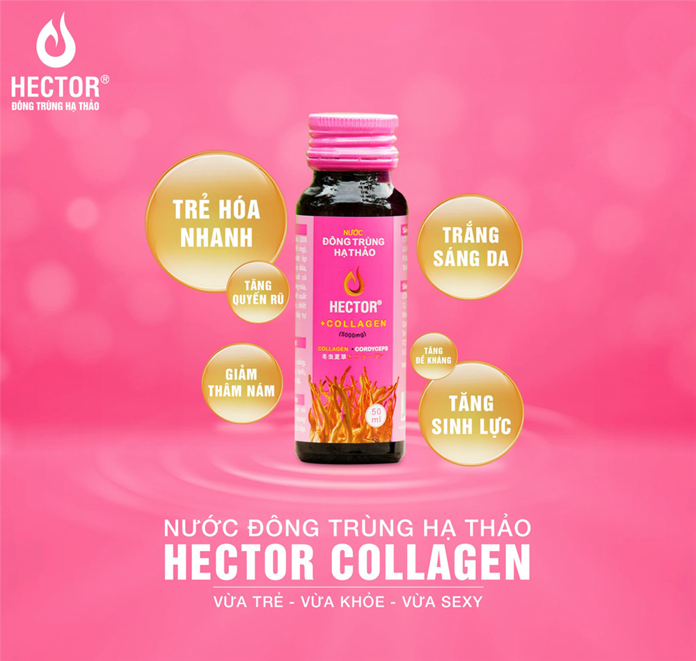 6 ưu điểm của nước đông trùng hạ thảo Hector Collagen-3