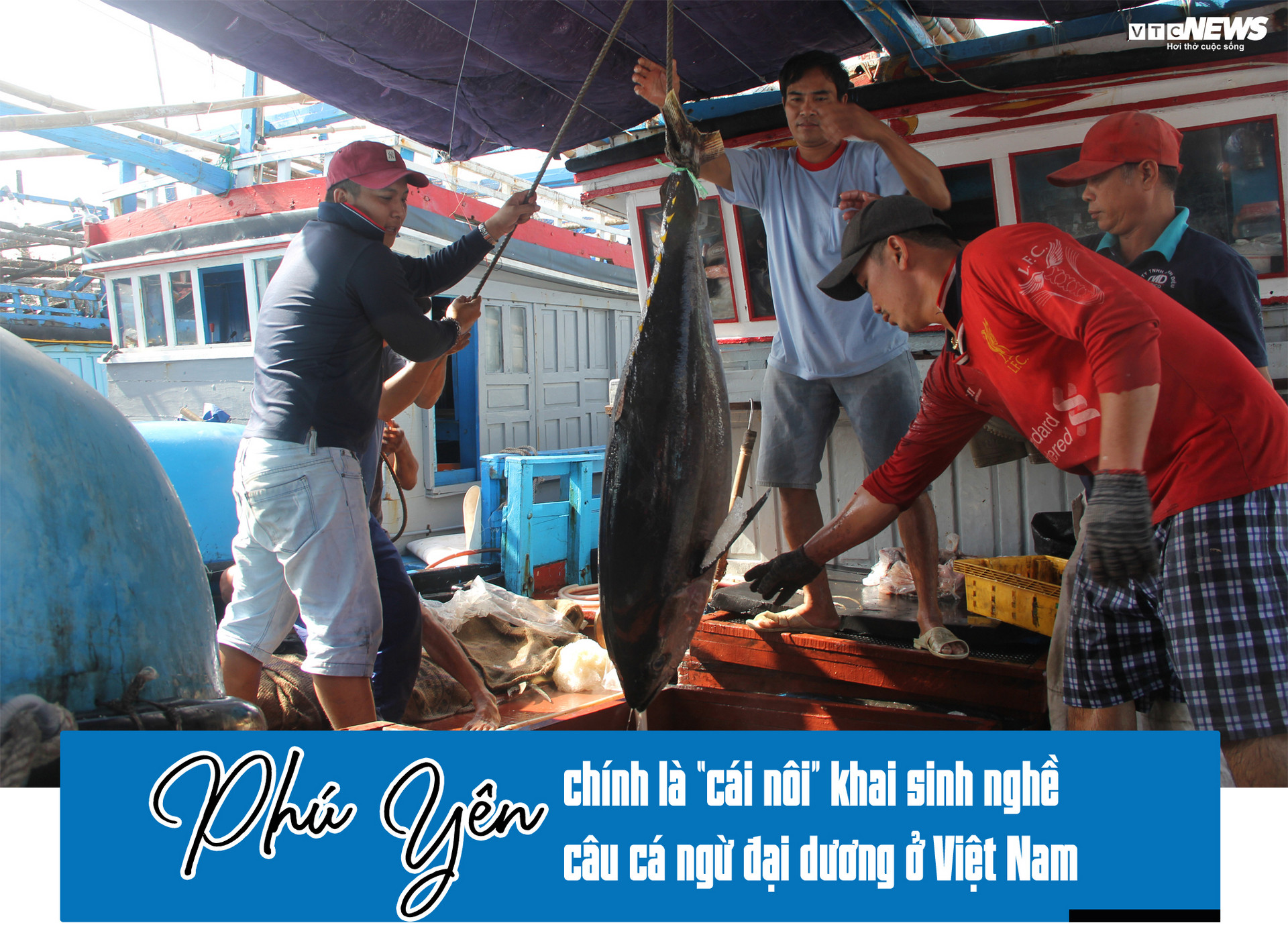 Nỗi buồn của ngư phủ nơi khai sinh nghề câu cá ngừ đại dương ở Việt Nam-3