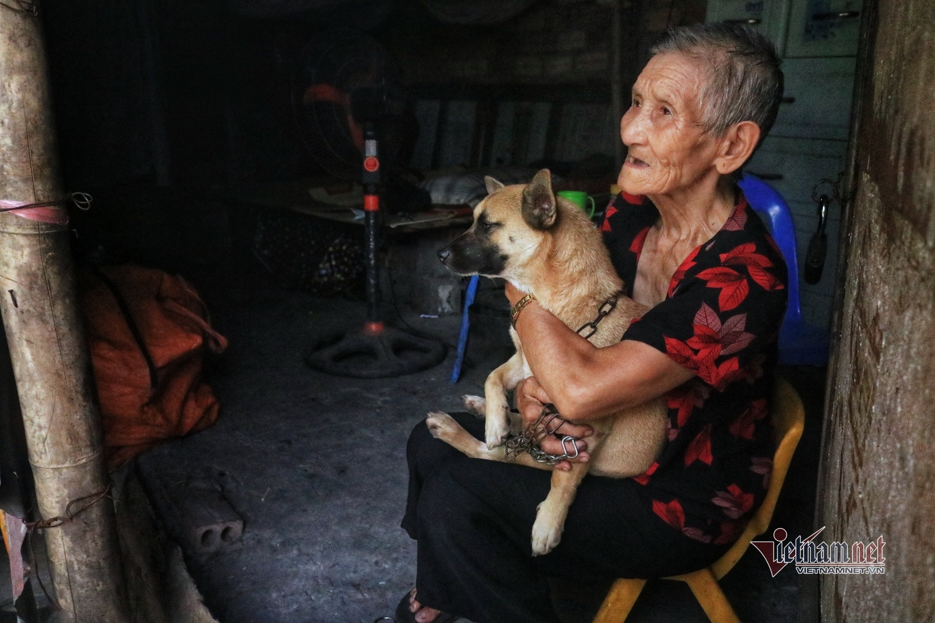 Người già lay lắt trong nắng nóng đỉnh điểm ở xóm lao động nghèo Hà Nội-7