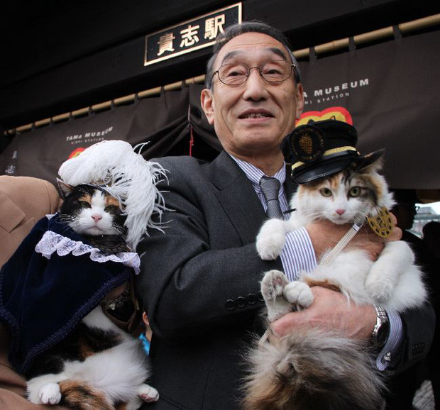 Chỉ nhờ một cô mèo hoang, công ty Nhật Bản lãi to 280 tỷ, thoát khỏi cảnh phá sản trong gang tấc-8