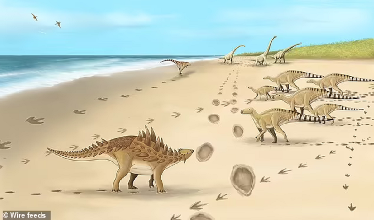 Phát hiện dấu chân của loài khủng long cuối cùng cách đây 110 triệu năm-2