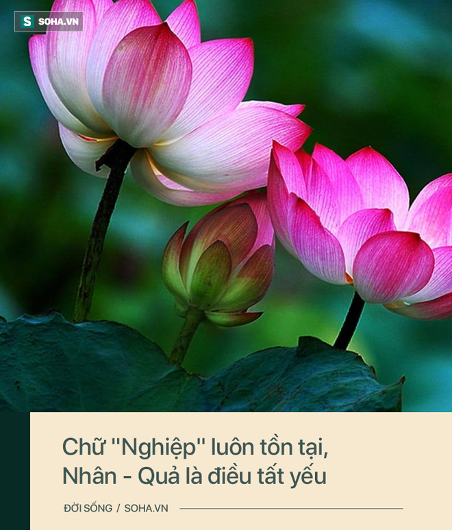 Biết học trò vì tiền mới gần mình nhưng vẫn cho cậu ta rất nhiều tài sản, lý do ông lão viết trong di chúc khiến 3 người con câm nín - Ảnh 6. Biết học trò vì tiền mới gần mình nhưng vẫn cho cậu ta rất nhiều tài sản, lý do ông lão viết trong di chúc khiến 3 người con câm nín-3
