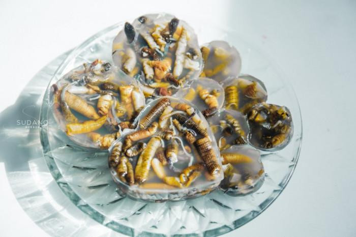 Thạch giun biển, món ăn trông đáng sợ nhưng thử một lần lại dễ nghiện-9