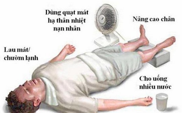 Sốc nhiệt do nắng nóng: Coi chừng đột tử-1