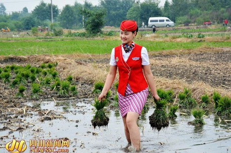 Nữ sinh hot nhất Biên Hòa mặc gợi cảm đi gặt lúa bị nhận xét 