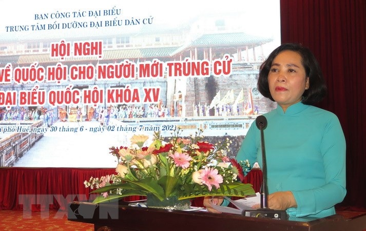 Boi duong, nang cao ky nang cho dai bieu Quoc hoi moi trung cu hinh anh 1