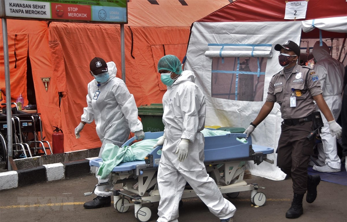 Nhân viên y tế chuyển bệnh nhân tử vong do COVID-19 tại bệnh viện ở Bekasi, Indonesia, ngày 1/7/2021. (Ảnh: AFP/TTXVN)