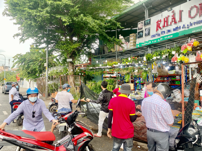 Dân Sài Gòn thích làm vườn mùa dịch, giới kinh doanh cây trồng hốt bạc-2