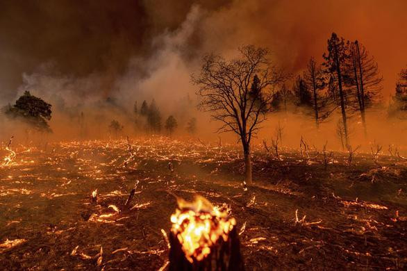 Chảo lửa thiêu cháy rừng ở Mỹ, nước từ máy bay chưa tiếp đất đã bốc hơi-1