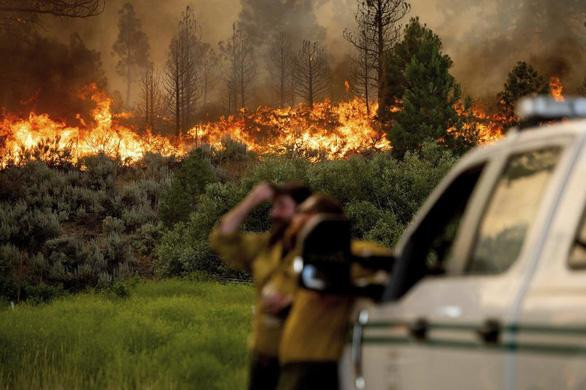 Chảo lửa thiêu cháy rừng ở Mỹ, nước từ máy bay chưa tiếp đất đã bốc hơi-2