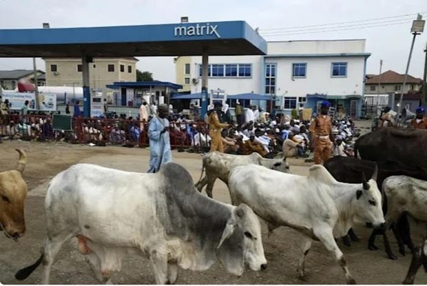 Nigeria: Các tay súng tấn công 5 ngôi làng, xả súng sát hại 35 người hình ảnh 1 Nigeria: Cac tay sung tan cong 5 ngoi lang, xa sung sat hai 35 nguoi hinh anh 1