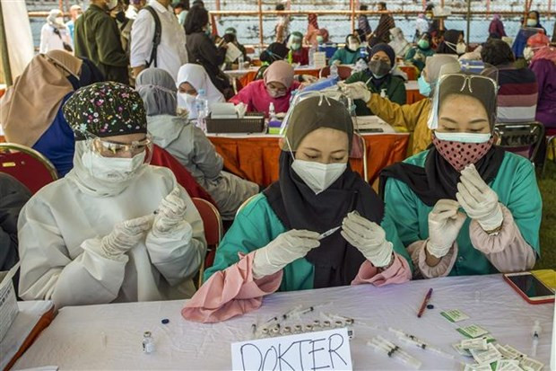 Indonesia phan dau se tro thanh trung tam vaccine cua Dong Nam A hinh anh 1