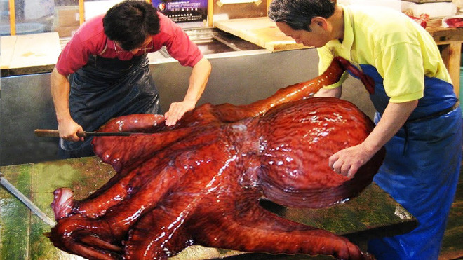 Cận cảnh chế biến bạch tuộc siêu to khổng lồ 40kg của đầu bếp Nhật Bản - Ảnh 2.