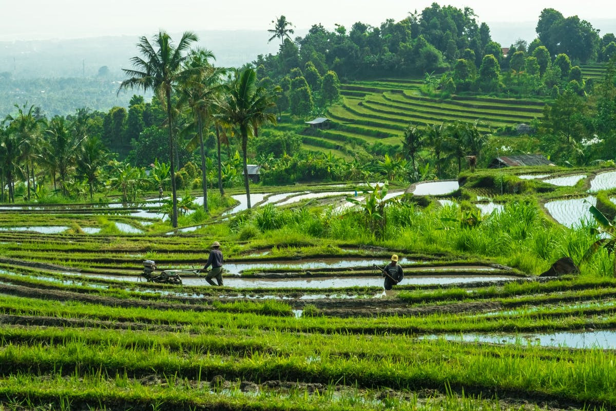 Bali: Nơi nét đẹp thiên nhiên được trân trọng hơn mọi tham vọng tiền tài và của cải - 10