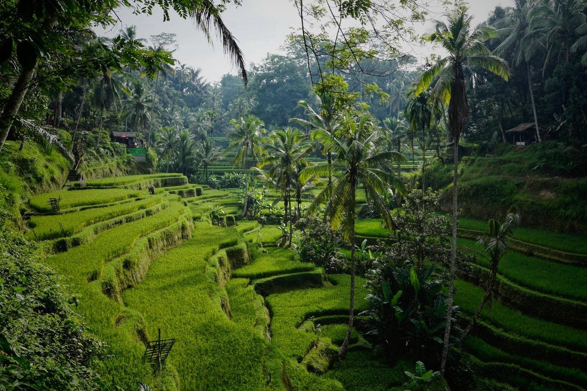 Bali: Nơi nét đẹp thiên nhiên được trân trọng hơn mọi tham vọng tiền tài và của cải - 6