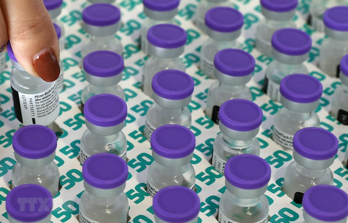 Vaccine ngừa COVID-19 của Pfizer/ BioNTech. (Ảnh: AFP/TTXVN)