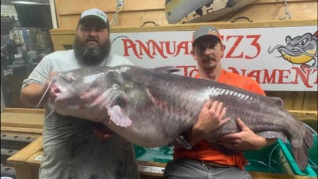 Người đàn ông Mỹ bắt con cá trê rồi sốc nặng trước trọng lượng của nó-1